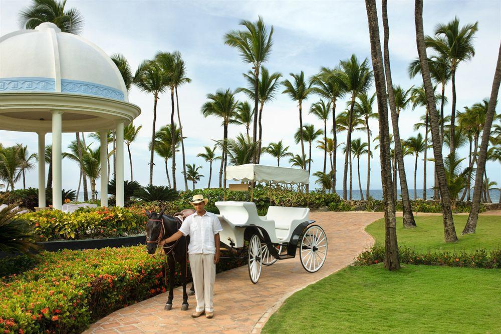 Hotel Excellence Punta Cana (adults Only) 5*