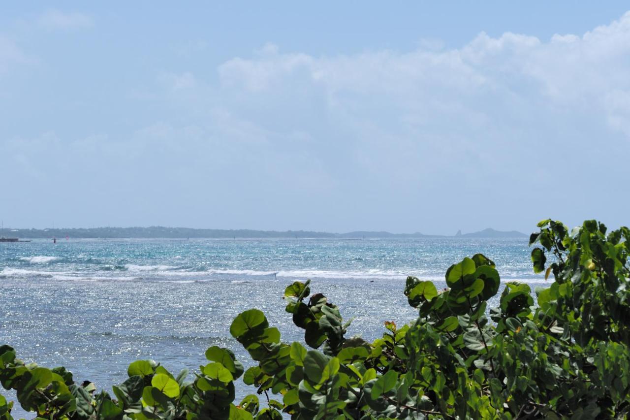 Apartamento Le Colibri - T2 Les Pieds Dans L'eau Saint-Francois (Grande-Terre)
