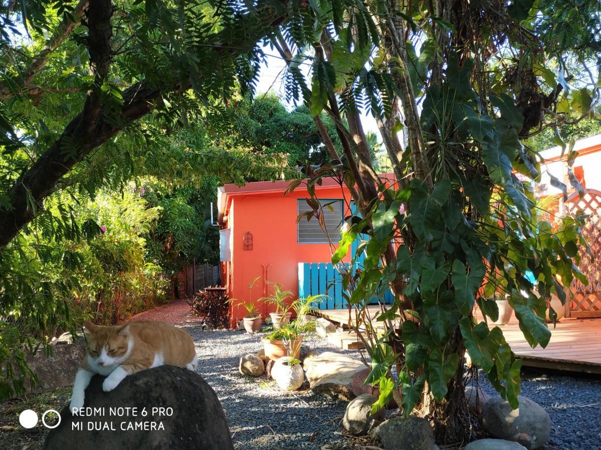 Les Manguiers Holiday home