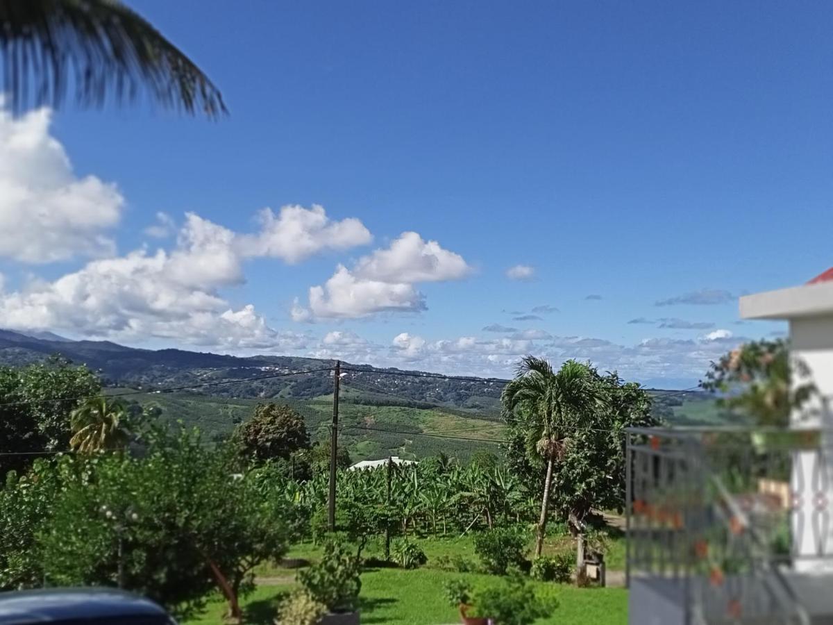 Paradis Cache - Confort Terrasse - Kybo Karaib Location - Pkg - Mtgne