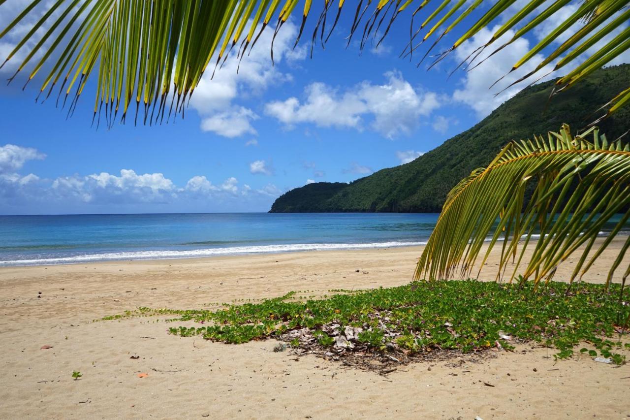 Dominican Tree House Village 2*