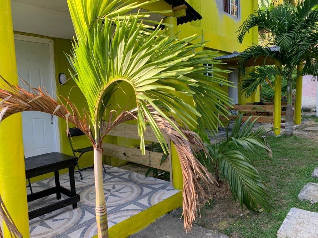 Tha Lagoon Spot Port Antonio