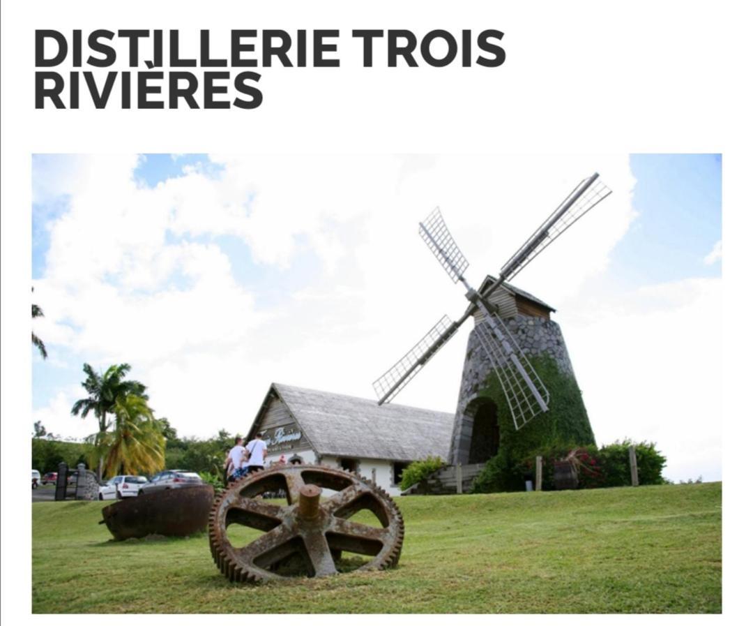 La Perle Piscine Et Petite Vue *
