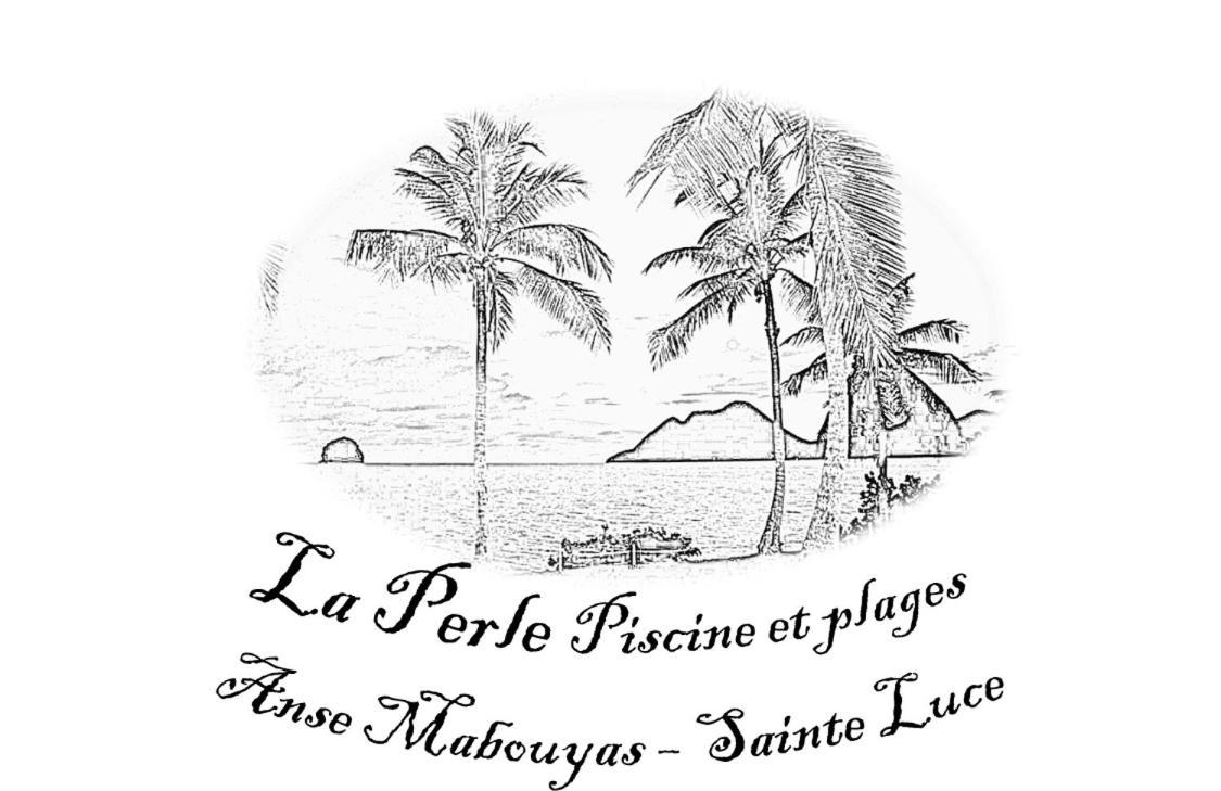 La Perle Piscine Et Petite Vue Apartment