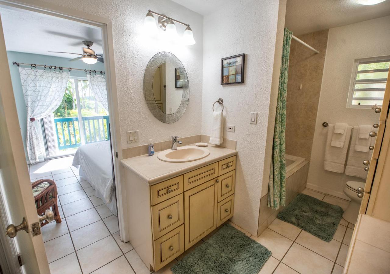Aparthotel Caribbean Beachfront Condo, St Thomas Usvi Cowpet Beach West 3 Bedroom Nazareth