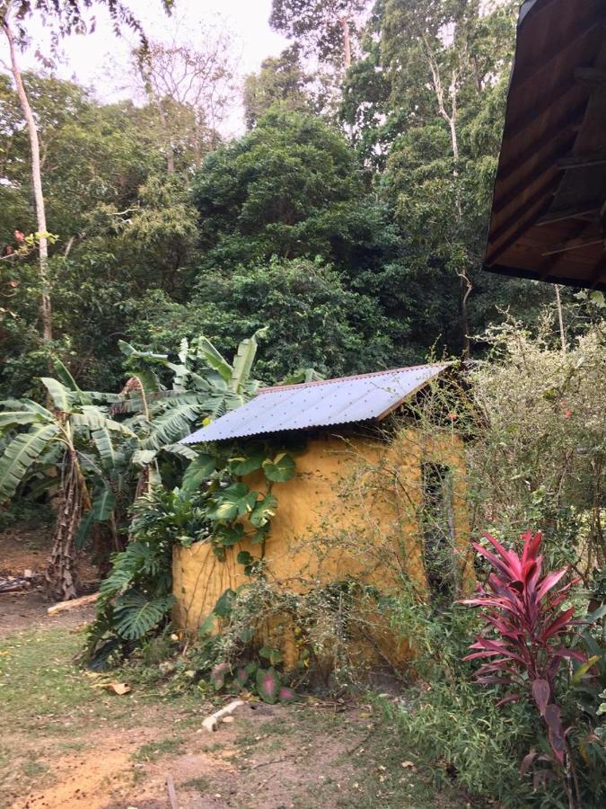 Country house At The Sea And Jungle