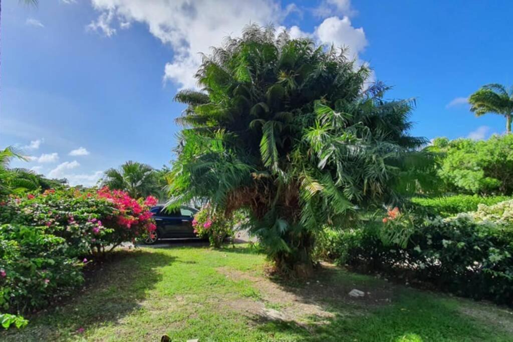 Apartment Grand Tropical Idealement Situe, Jardin Et Piscine *