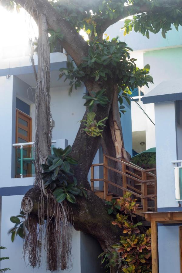 Casa de hóspedes Casa Valeria Boutique 3*