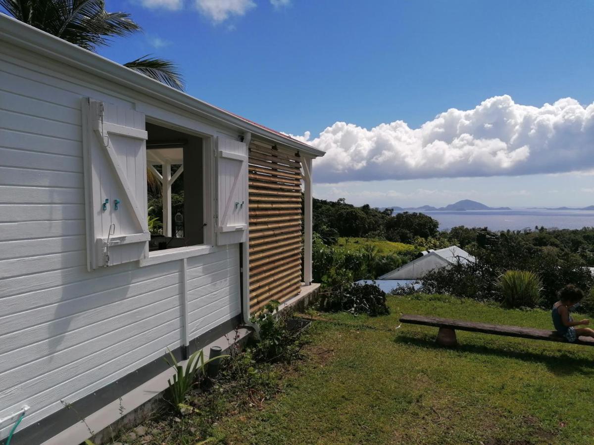 Le Bananier Rouge Holiday home *