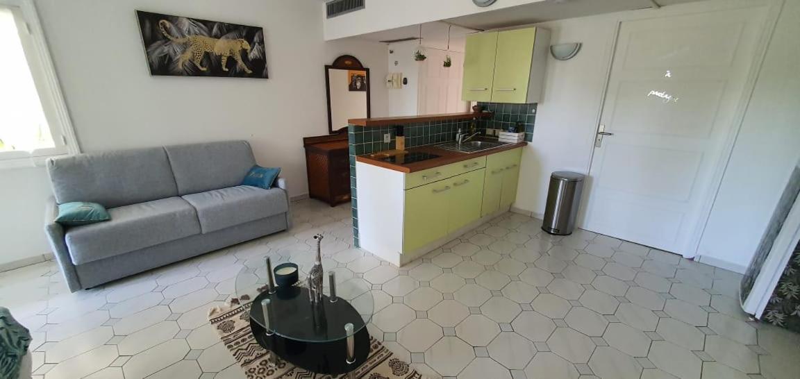 Grand Tropical Idealement Situe, Jardin Et Piscine Apartment *