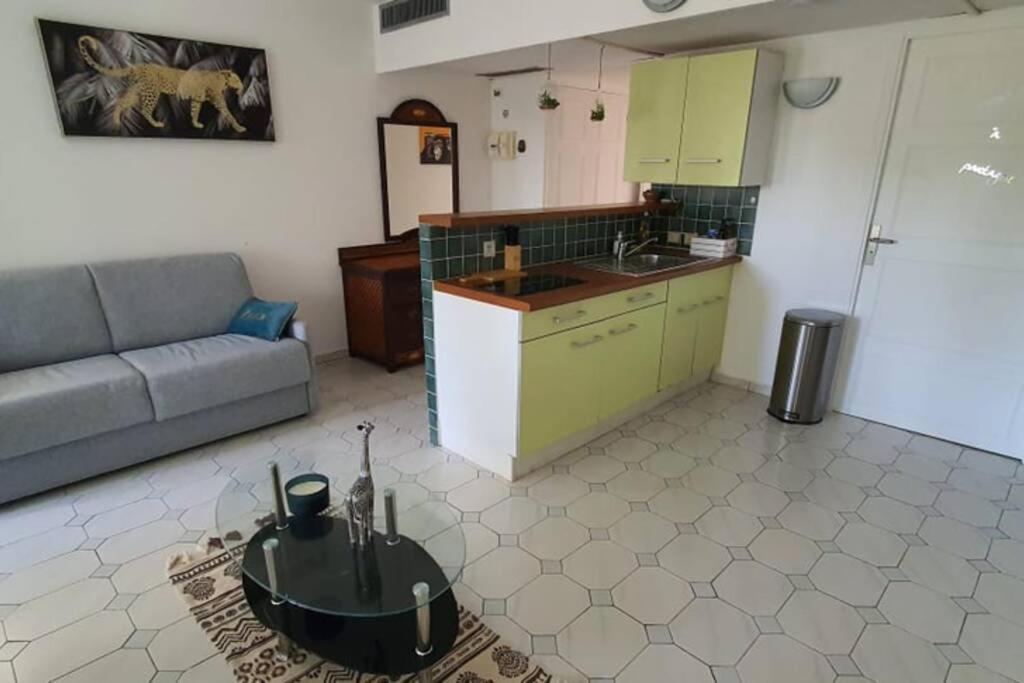 Apartment Grand Tropical Idealement Situe, Jardin Et Piscine