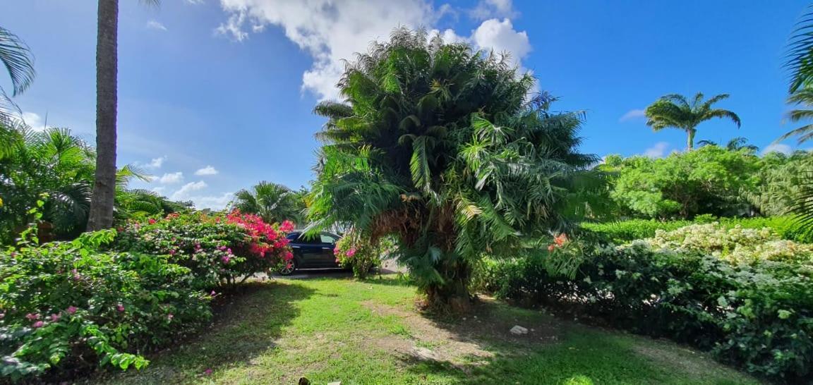 Apartment Grand Tropical Idealement Situe, Jardin Et Piscine