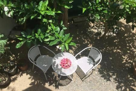 Bed & Breakfast Aux Iles D'amour *