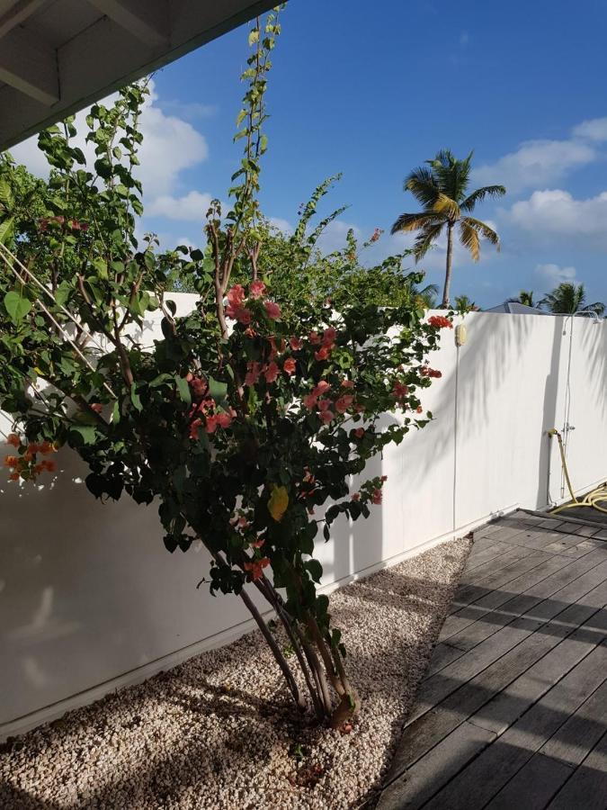 Villa White House, Sxm Avec Piscine Privee