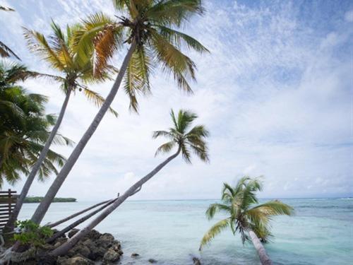 Coco Marie-galante Hotel 3*
