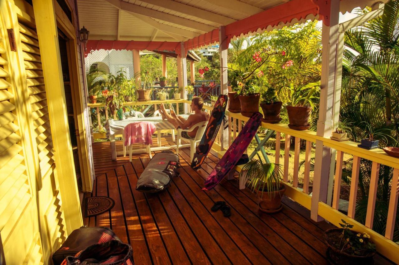 Caribbean Dream