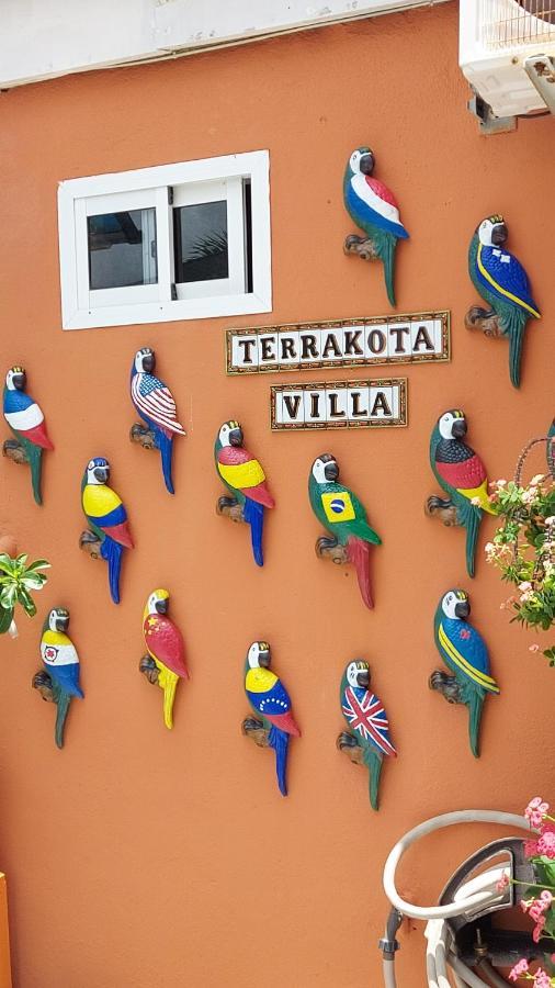 Terrakota Willemstad