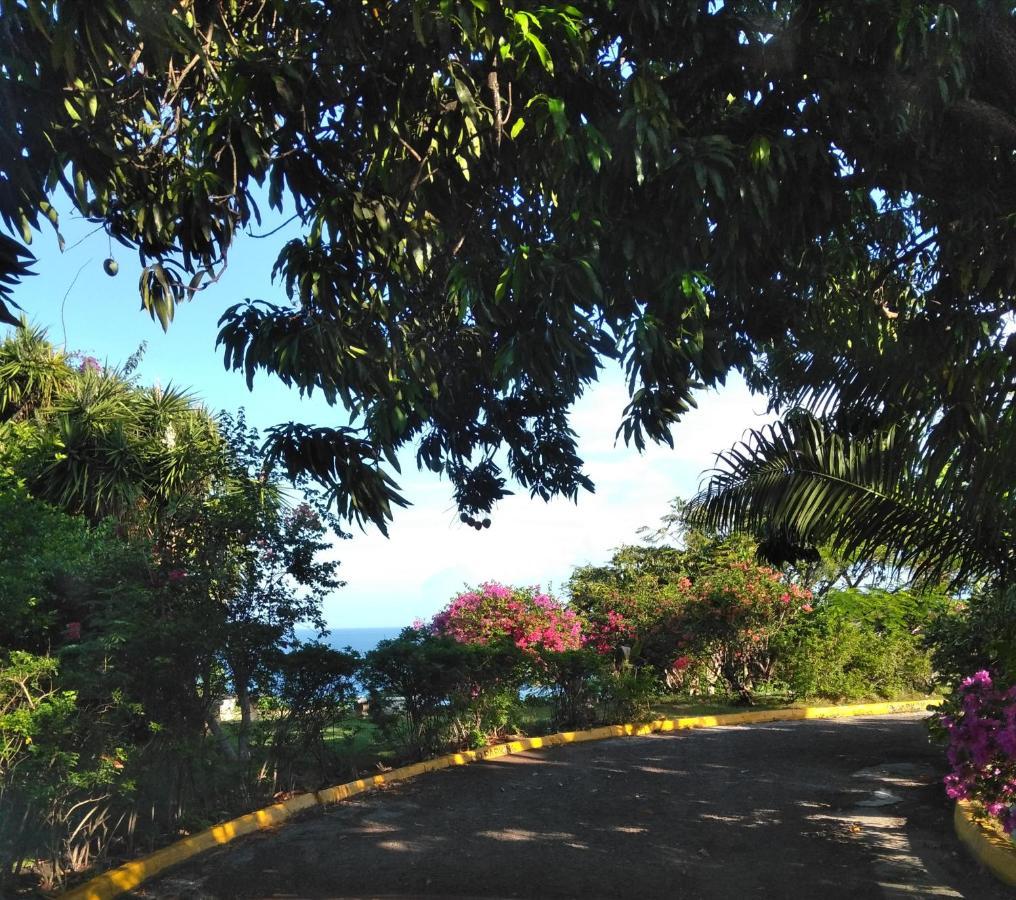 Apartment Irresistible View-mobay Club 1408