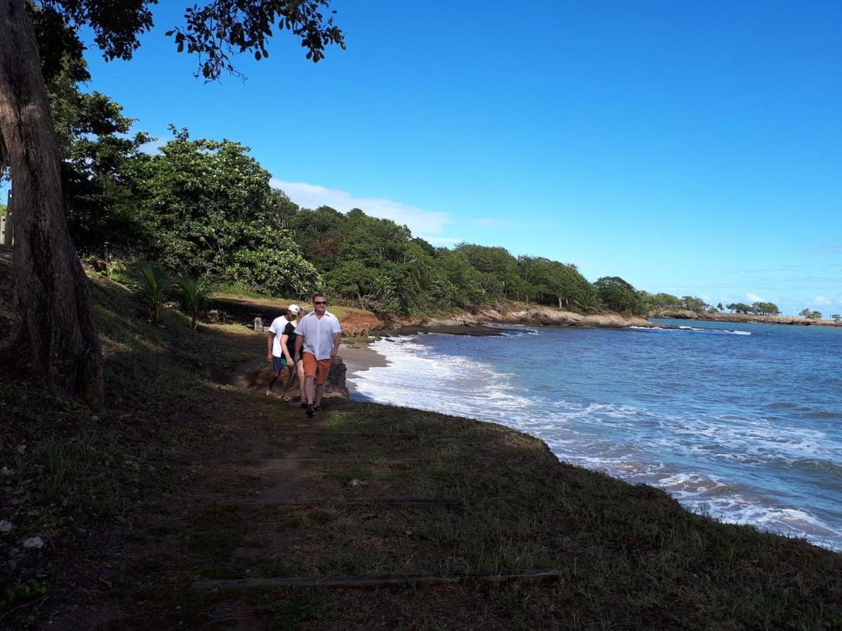 Sur Magnifique Plage-le Nid D'amande