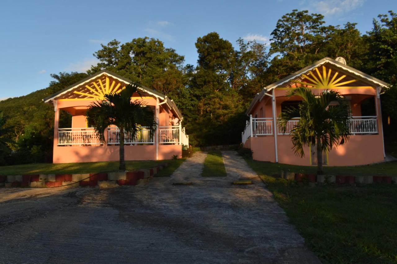 Creole Nest * Pointe-Noire