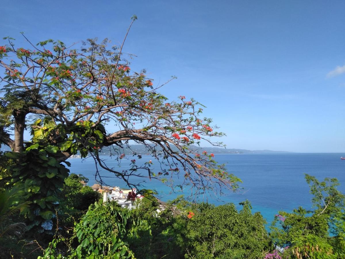 Apartment Irresistible View-mobay Club 1408 Montego Bay