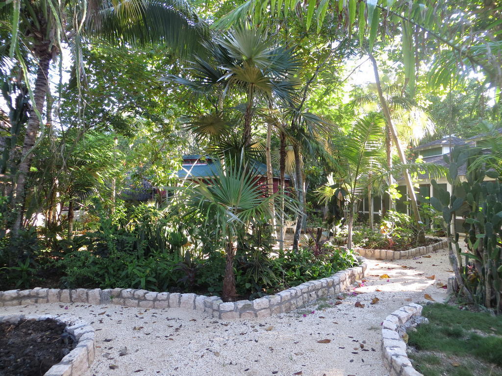 Tingalaya's Retreat Negril