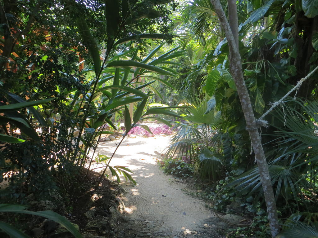 Tingalaya's Retreat Guest house Negril