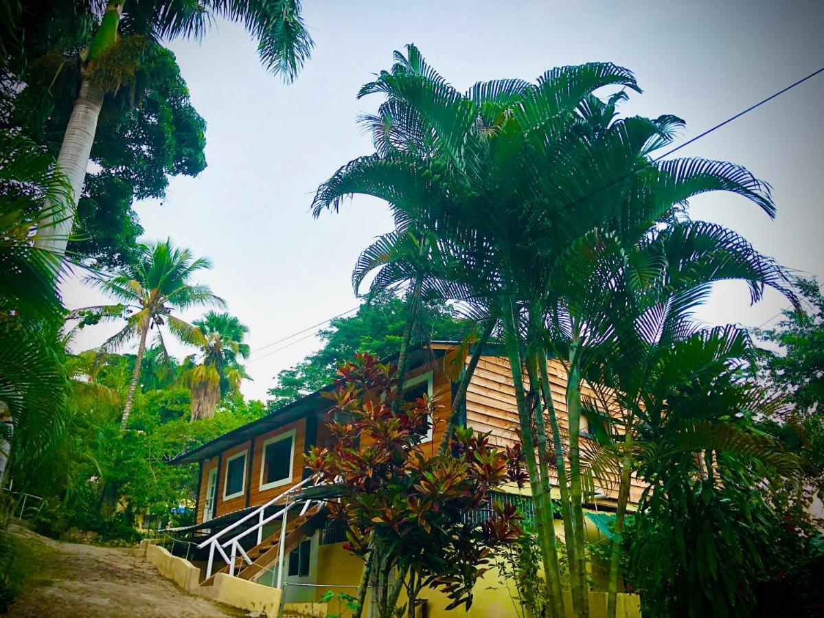 Real Dominican Republic Discovery * Puerto Plata