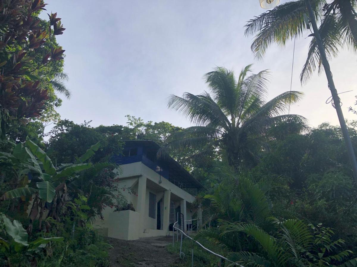 Real Dominican Republic Discovery Bed & Breakfast *