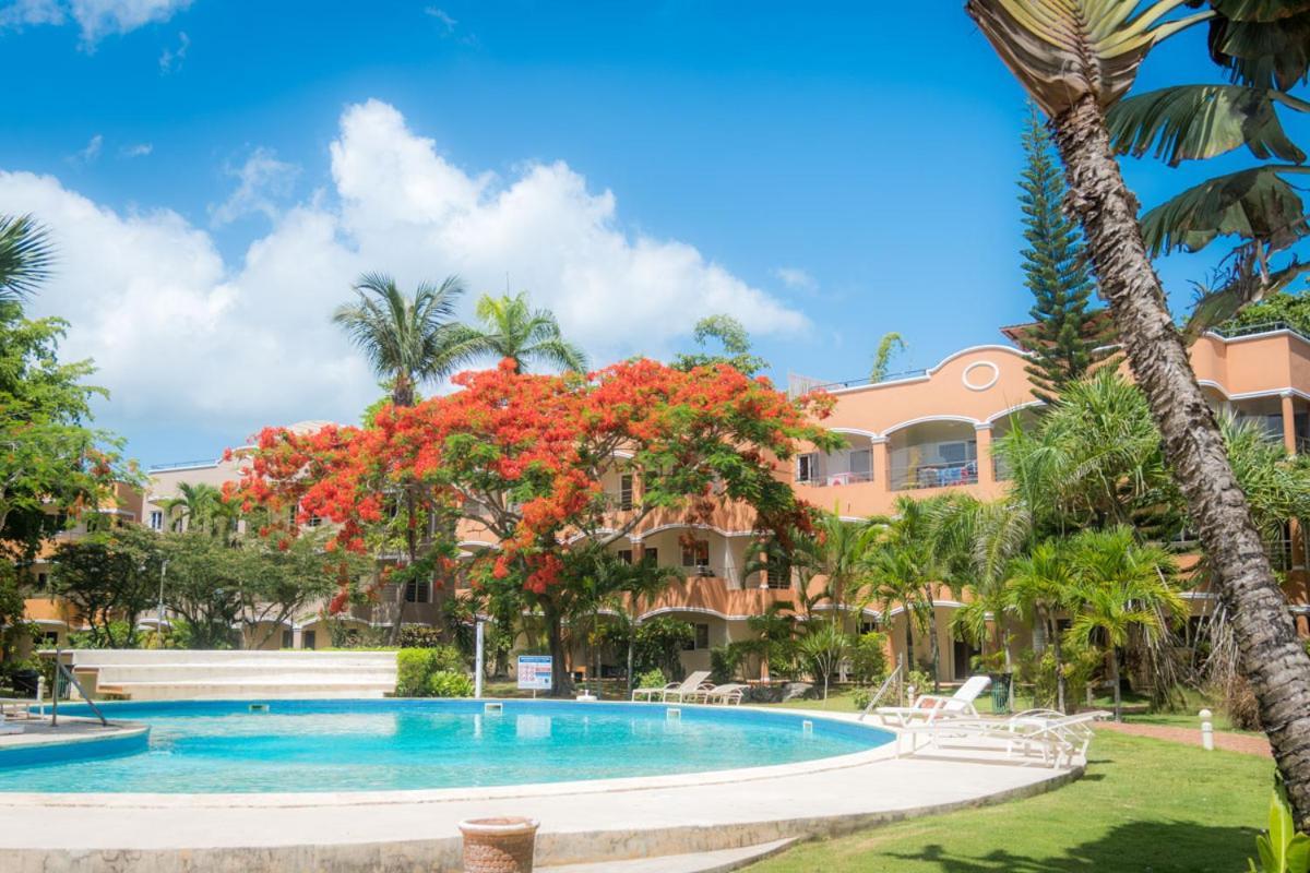 Don Cesar Las Terrenas