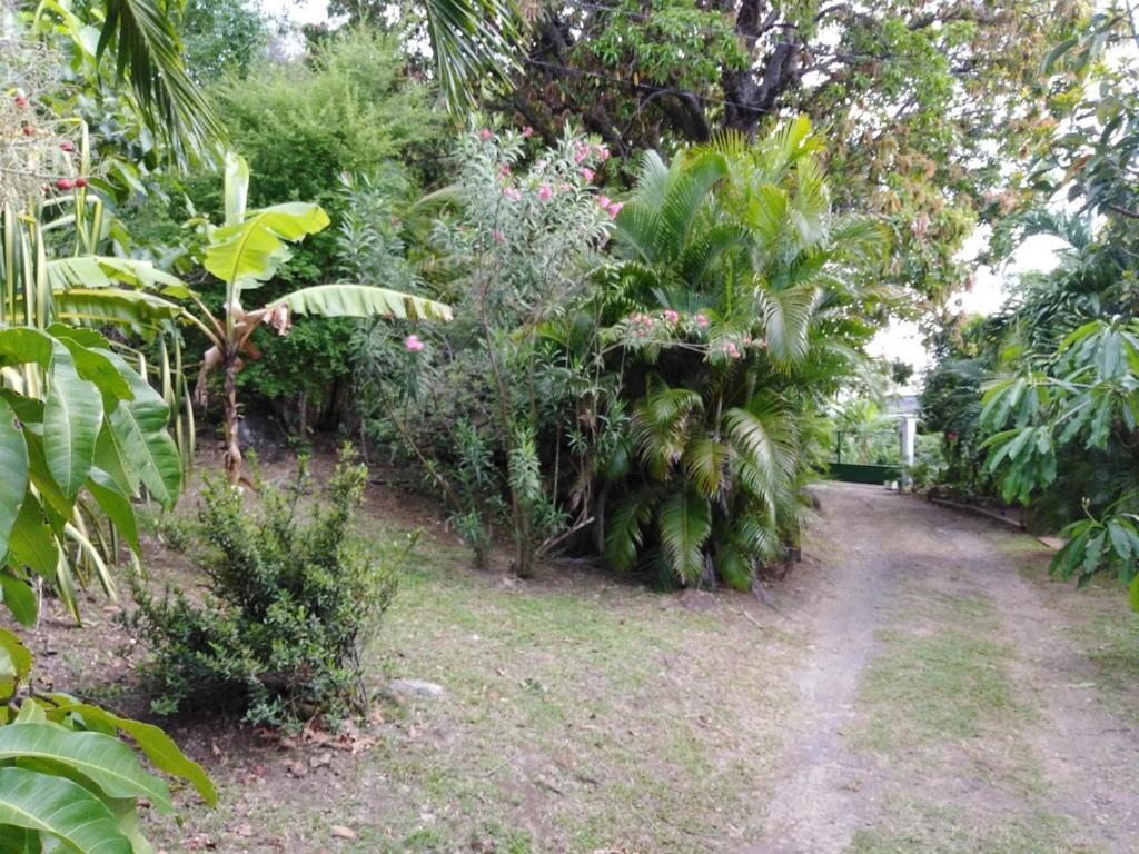 Au Vieux Manguier Casa de férias Deshaies