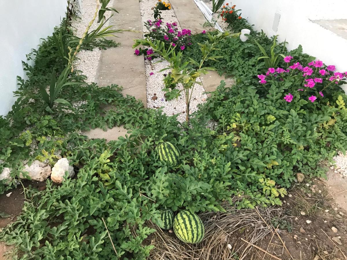 Villa Azteca *