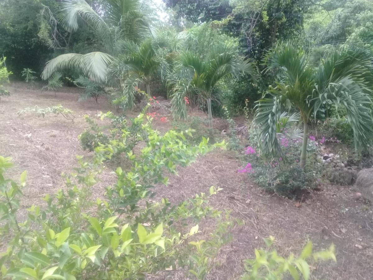Guest house Royal Escape - 1 Anse La Raye