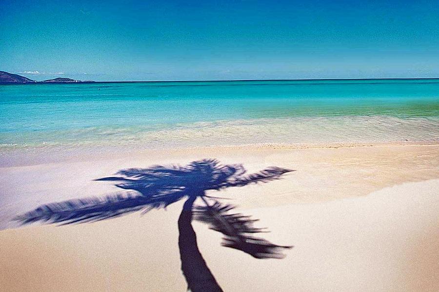Bavaro Cortecito Apartamento