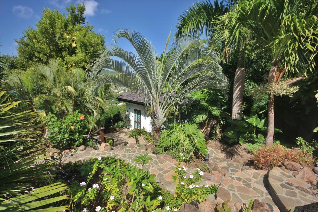 Tropical Hideaway