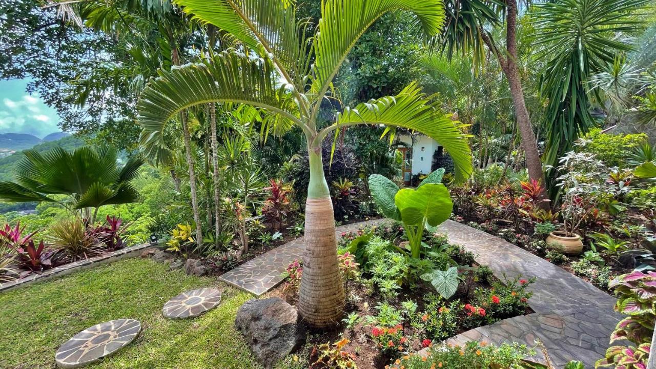 Hotel Tropical Hideaway 5*