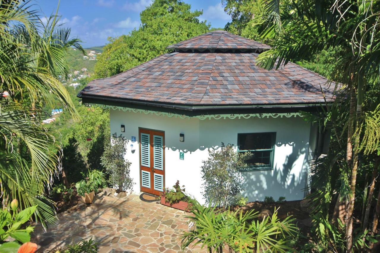 Tropical Hideaway