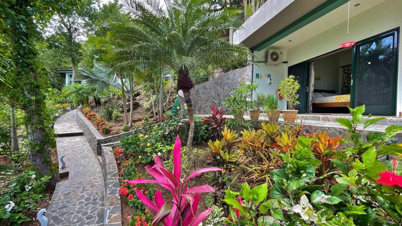 Hotel Tropical Hideaway