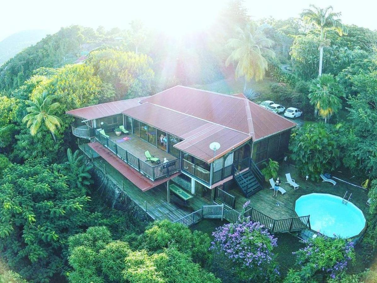 Villa Du Jardin Botanique, Ex. Propriete Coluche *