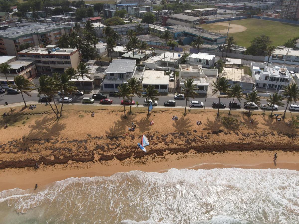 The Surfing Turtle Luquillo