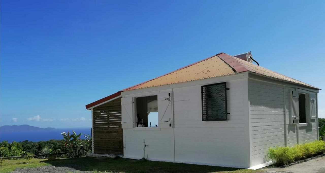 Le Bananier Rouge Holiday home