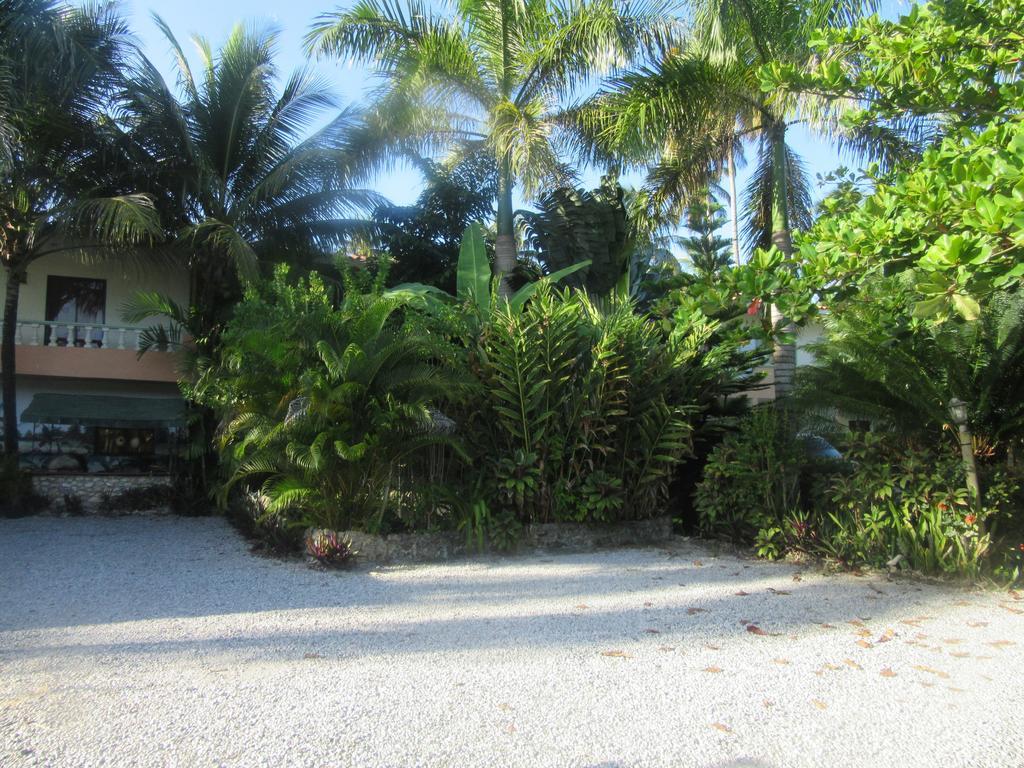 Hotel Cambri 4*
