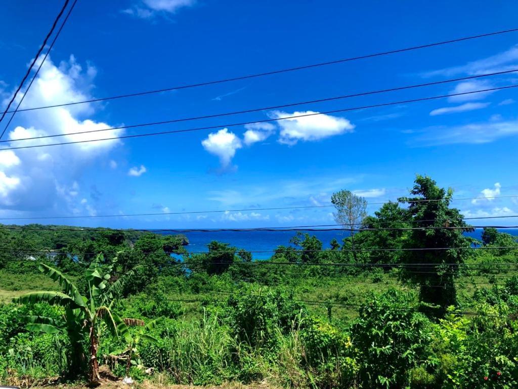 Toga * Port Antonio