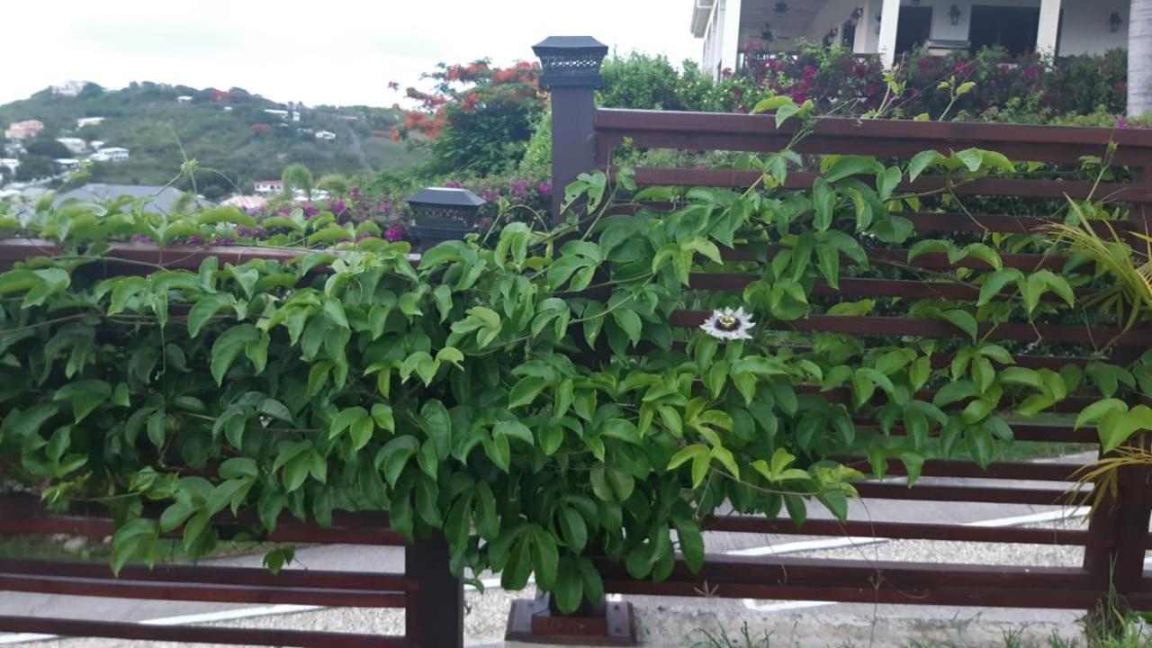 Apartamento Belvedere