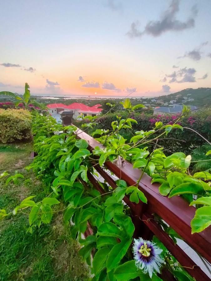 Belvedere * Dickenson Bay