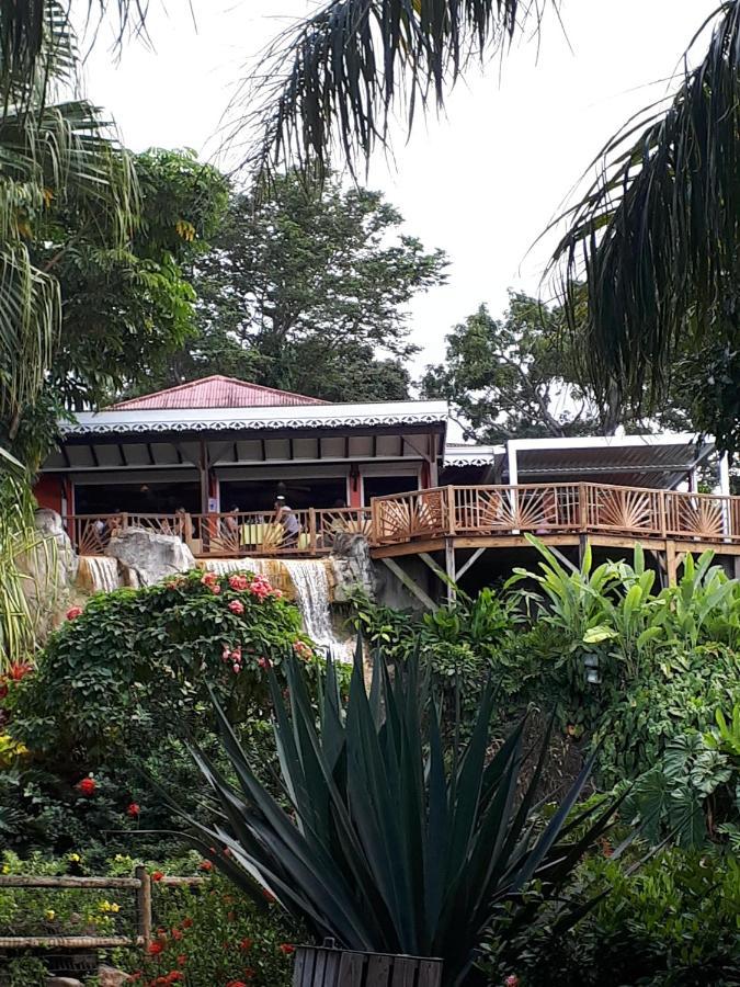 Du Jardin Botanique, Ex. Propriete Coluche * Deshaies