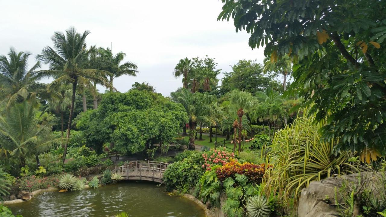 Villa Du Jardin Botanique, Ex. Propriete Coluche