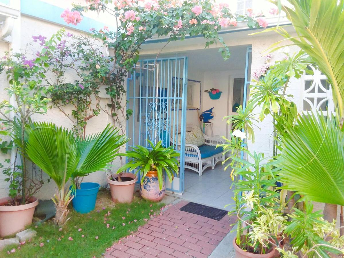On Great Bay Foxie * Philipsburg (Sint Maarten)