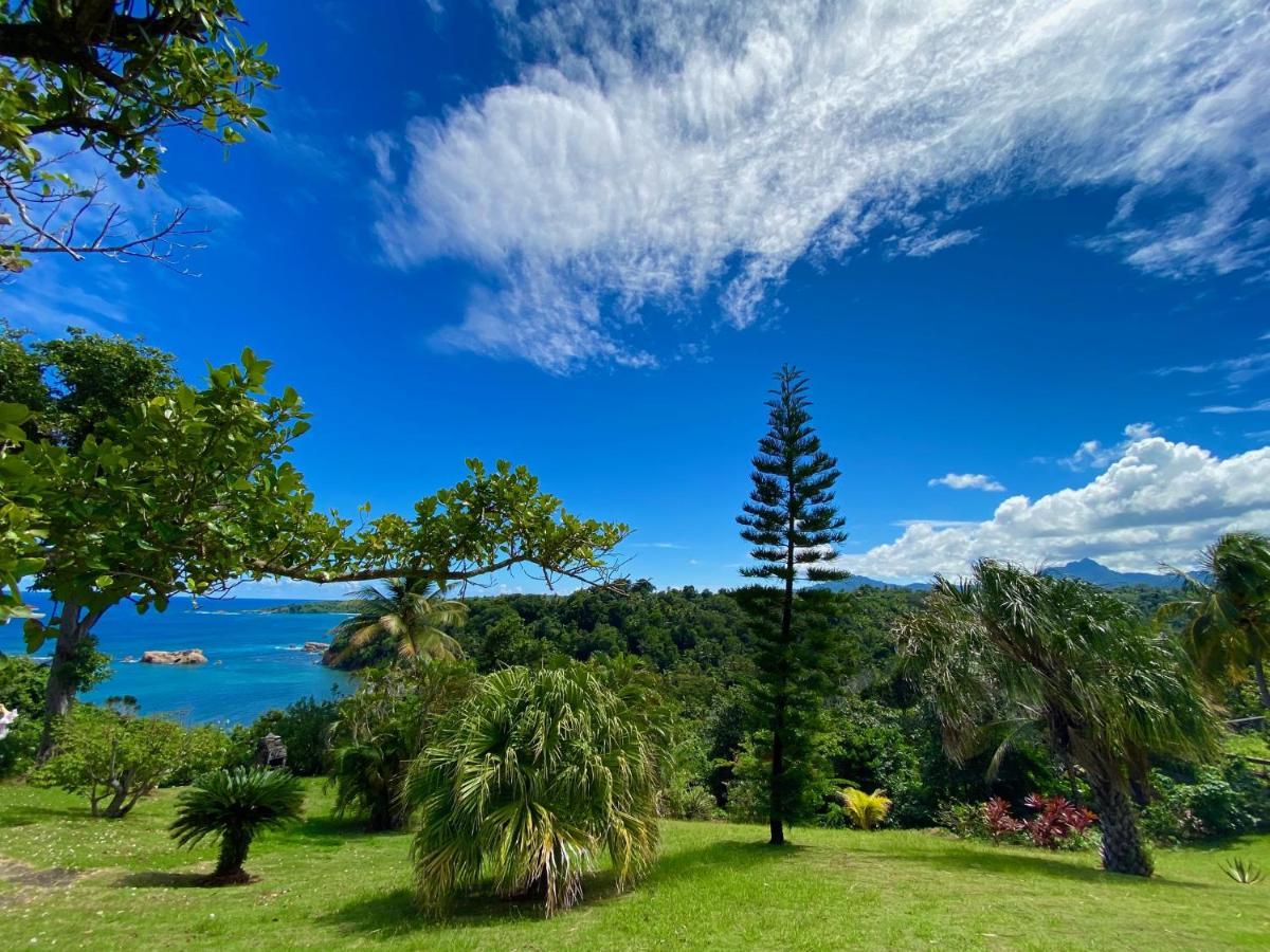 Sea Cliff Eco-cottages & Gin Distillery *