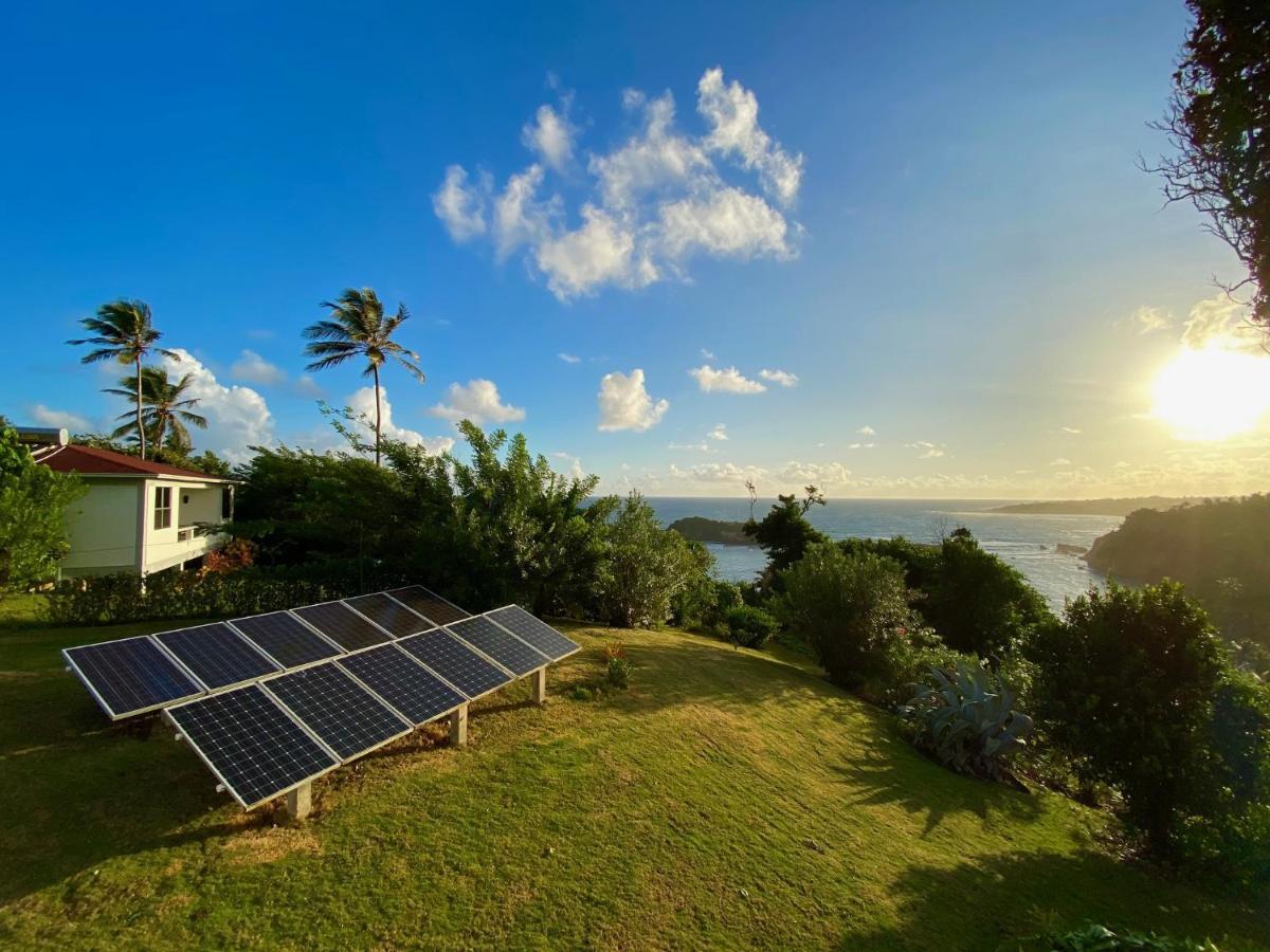 Sea Cliff Eco-cottages & Gin Distillery Holiday home
